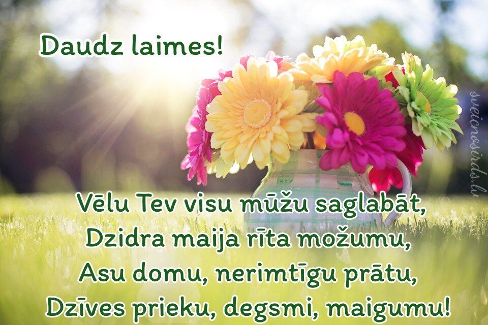 Apsveikumi Dzim anas Dien Un V rda Dien Skaisti Nov l jumi