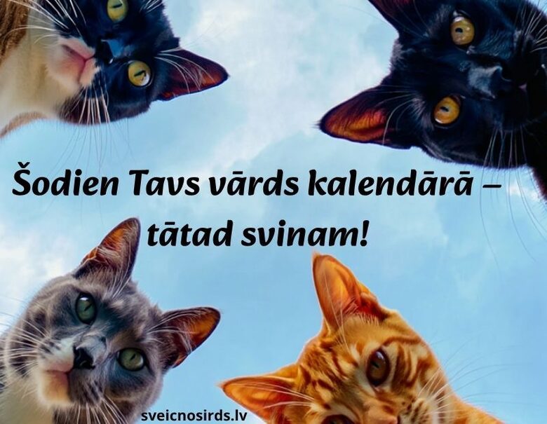 smieklīgs apsveikums vārda dienā jebkuram