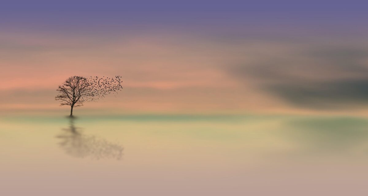 noname_13-tree-3358468_1920.jpg